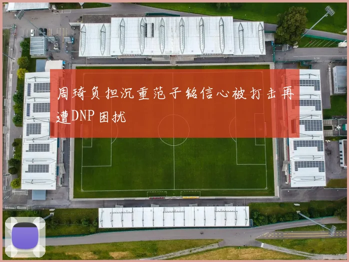 周琦负担沉重范子铭信心被打击再遭DNP困扰