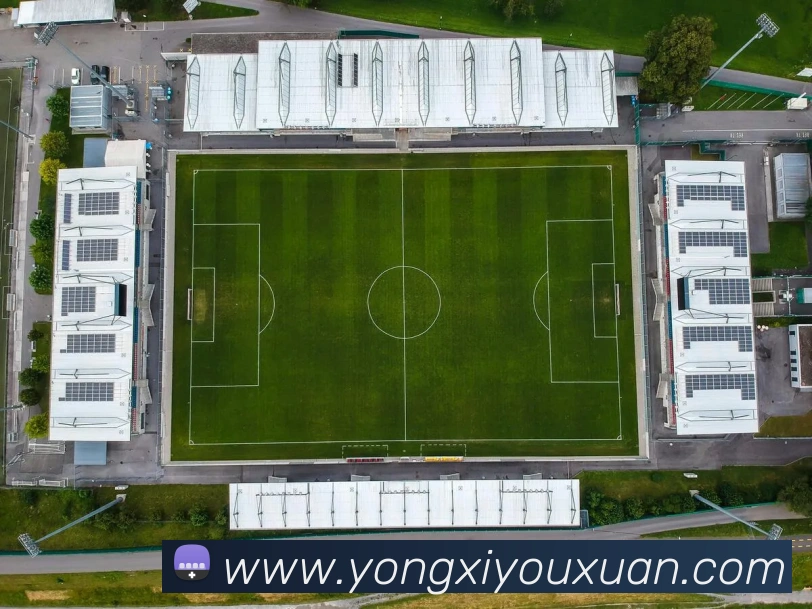 多媒体互动体验